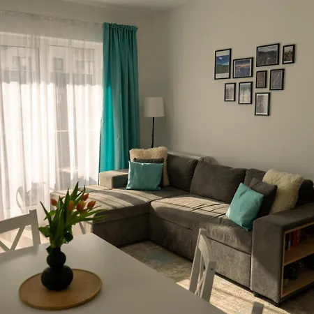 Alina Avangarden * Braszów