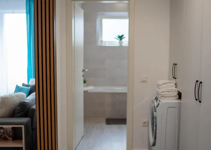 Apartment Alina Avangarden *